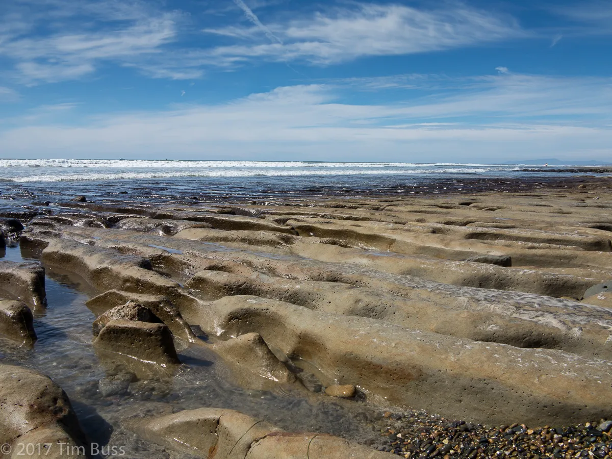 Leucadia neighborhood